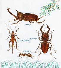 �J�u�g���Vp.14